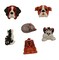Buttons Galore and More Pet Buttons for Sewing and Craft - Raining Cats and Dogs - 18 Buttons